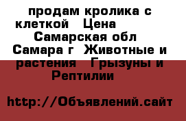 продам кролика с клеткой › Цена ­ 2 000 - Самарская обл., Самара г. Животные и растения » Грызуны и Рептилии   